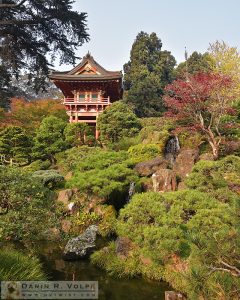 Japanese Tea Garden, Golden Gate Park - San Francisco, California