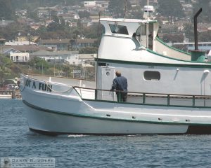 "Going for the Head" [Fishing Boat and Western Gull in Morro Bay, California]