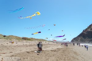 "Flying High" [Morro Bay Kite Festival]