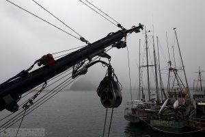 "Socked In" [Fishing Boats in the Fog in Morro Bay, California]